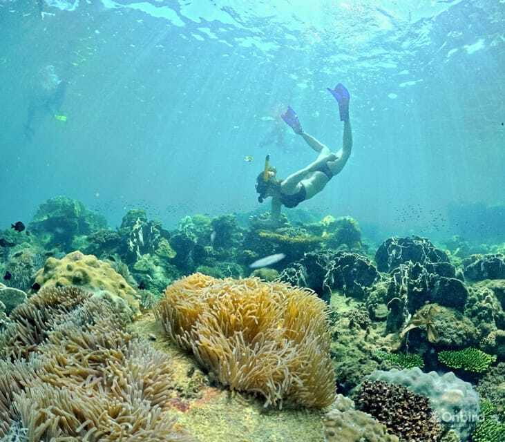 Phu Quoc Speedboat Pro Snorkeling: 4 Islands-2 Reefs & Meal - Who should book this outing?