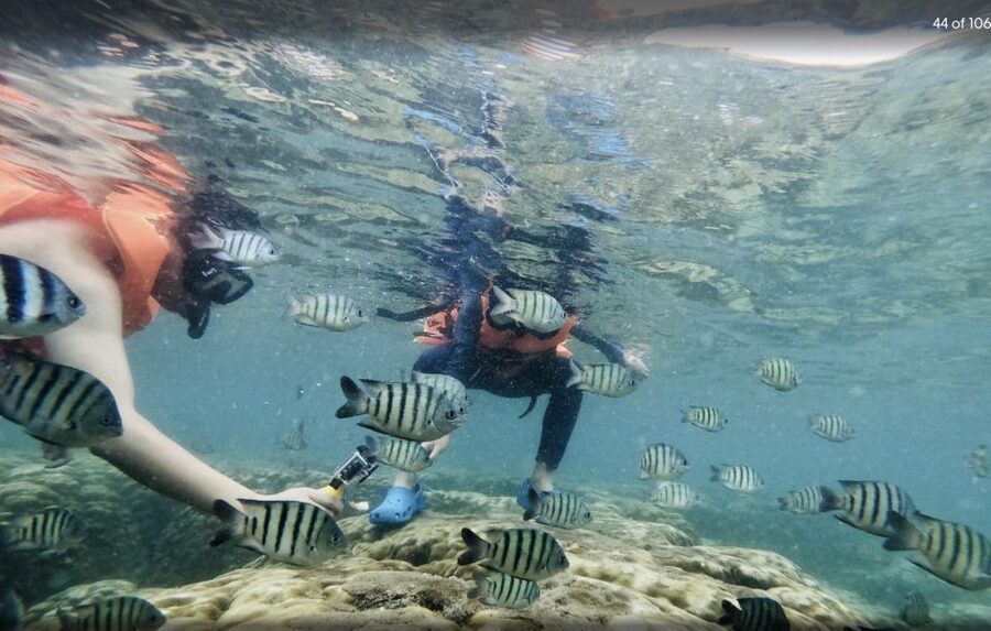 Phu Quoc: Speedboat Tour of 4 Islands with Snorkeling & BBQ - Weather, jellyfish, and the honest limitations