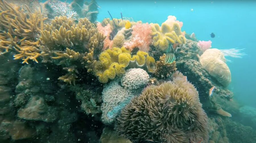 Phu Quoc: Speedboat Tour of 4 Islands with Snorkeling & BBQ - May Rut Ngoai or Gham Ghi for a beach break