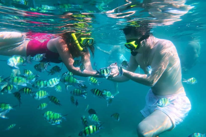 Phuket: 3 Khai Islands Speedboat Tour- Snorkeling & Relaxing - Who should book this Phuket island trip