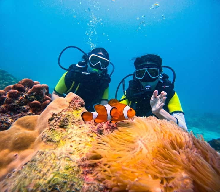 Phuket: 3 Khai Islands Speedboat Tour- Snorkeling & Relaxing - The speedboat ride is short, but the ride still matters