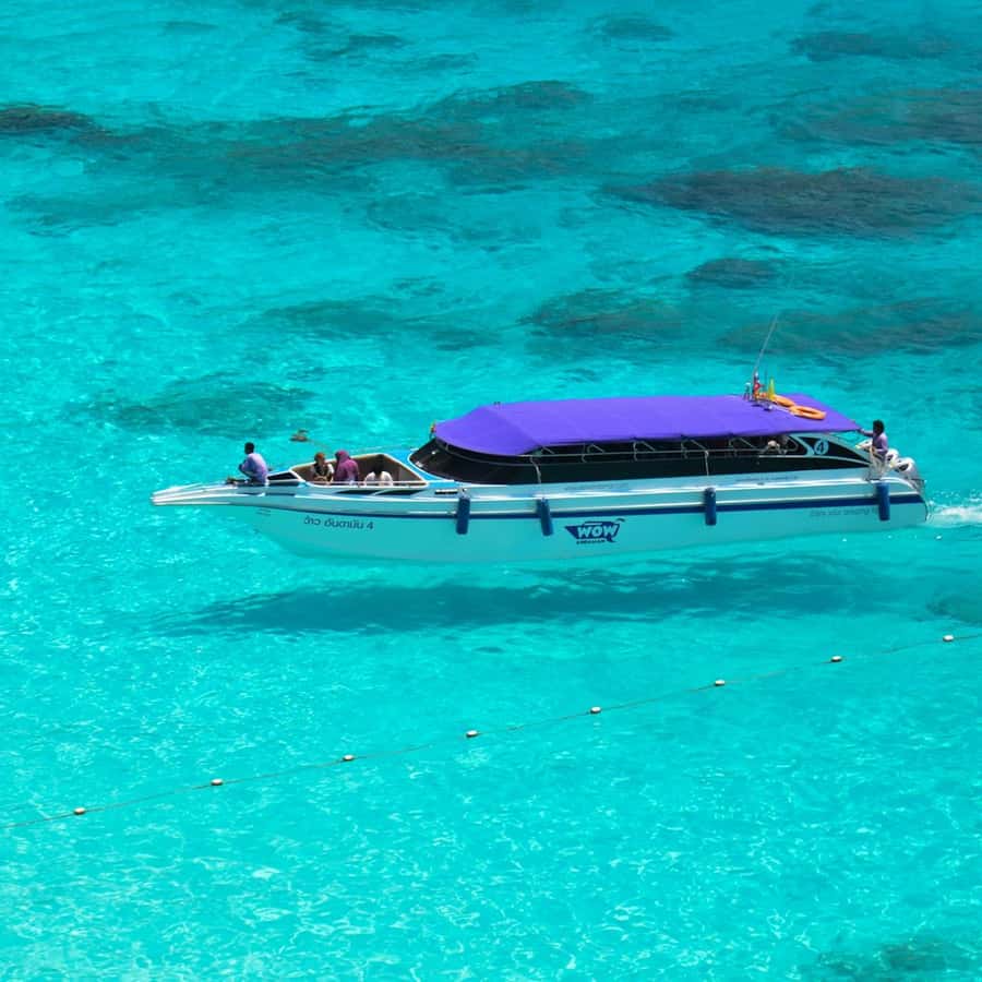 Phuket/Khao Lak: Snorkeling Trip to Phi Phi & Bamboo Islands - Who should book this Phi Phi day?