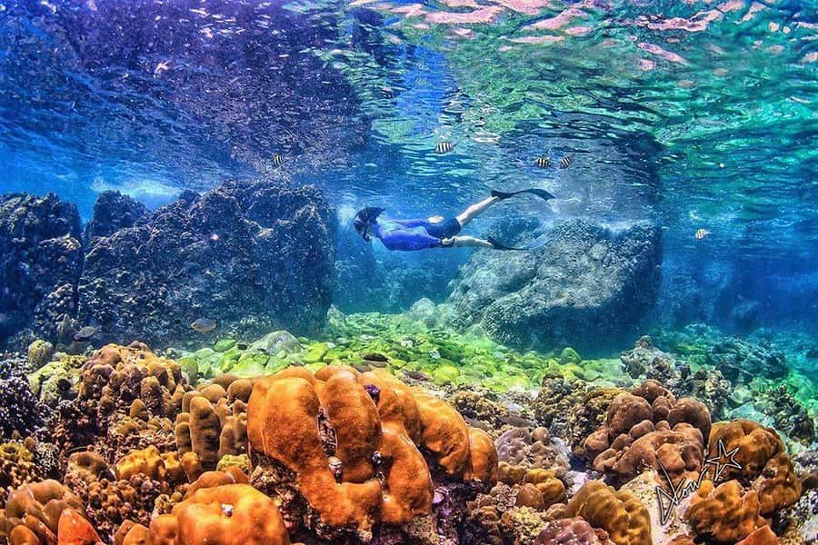 Phuket: Phi Phi & Bamboo Islands Snorkeling by Speedboat - Viking Cave and the first snorkeling session