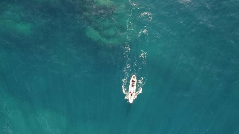 Pico island: guided kayak and snorkel tour - Why this kayak trip feels different from a standard coastal paddle