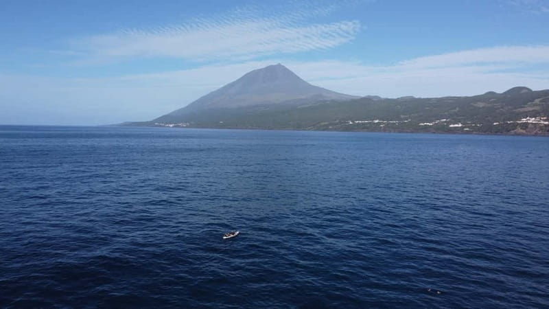 Pico island: guided kayak and snorkel tour - The first hour: harbour views and the old whaling factory