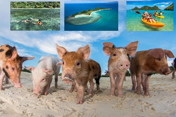 Pig Island Experience By Speed Boat, Snorkeling, Kayaking Relaxing on the Beach - The highlights at a glance