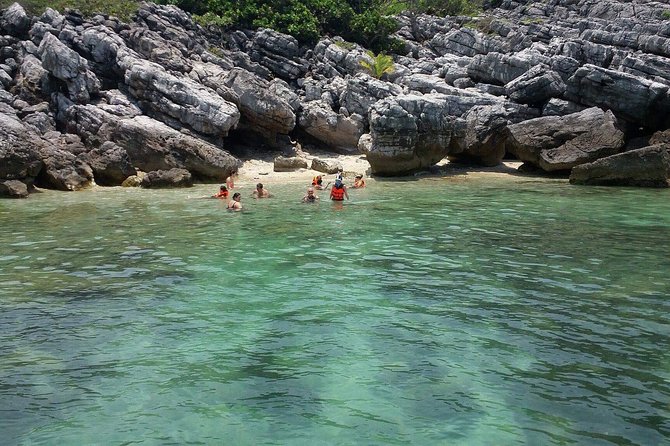 Pig Island Experience By Speed Boat, Snorkeling, Kayaking Relaxing on the Beach - Koh Tan snorkeling: pleasant, but keep expectations realistic