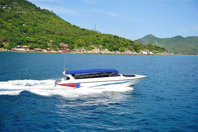 Pig Island Experience By Speed Boat, Snorkeling, Kayaking Relaxing on the Beach - Kayaking, swimming, and beach time