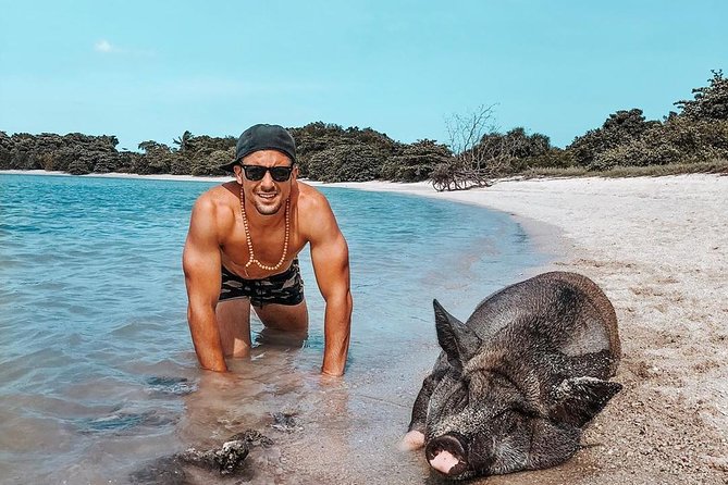 Pig Island Experience By Speed Boat, Snorkeling, Kayaking Relaxing on the Beach - Koh Madsum and the appeal of Pig Beach