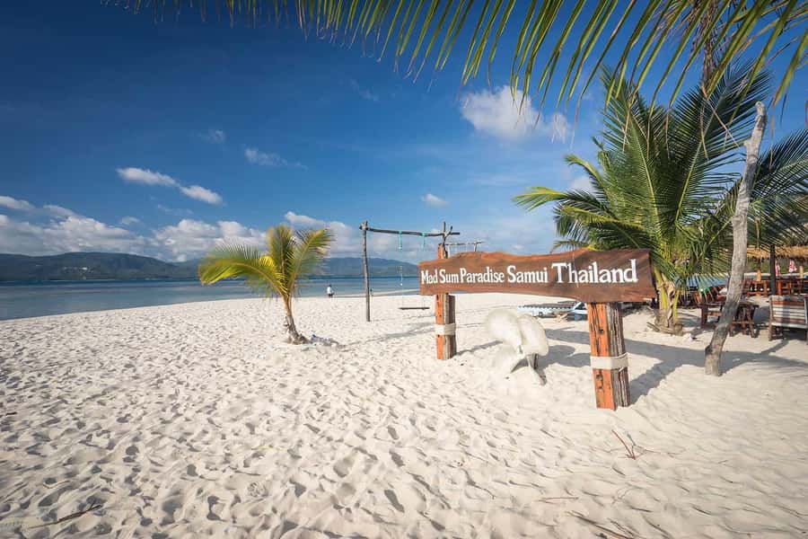 Pig Island(Koh Mudsum) and Koh Tan Half Day Snorkeling Tour - One hour at Koh Tan for snorkeling