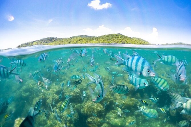 Pig Island Tour by Speedboat with Snorkeling - The crew can make or break the day