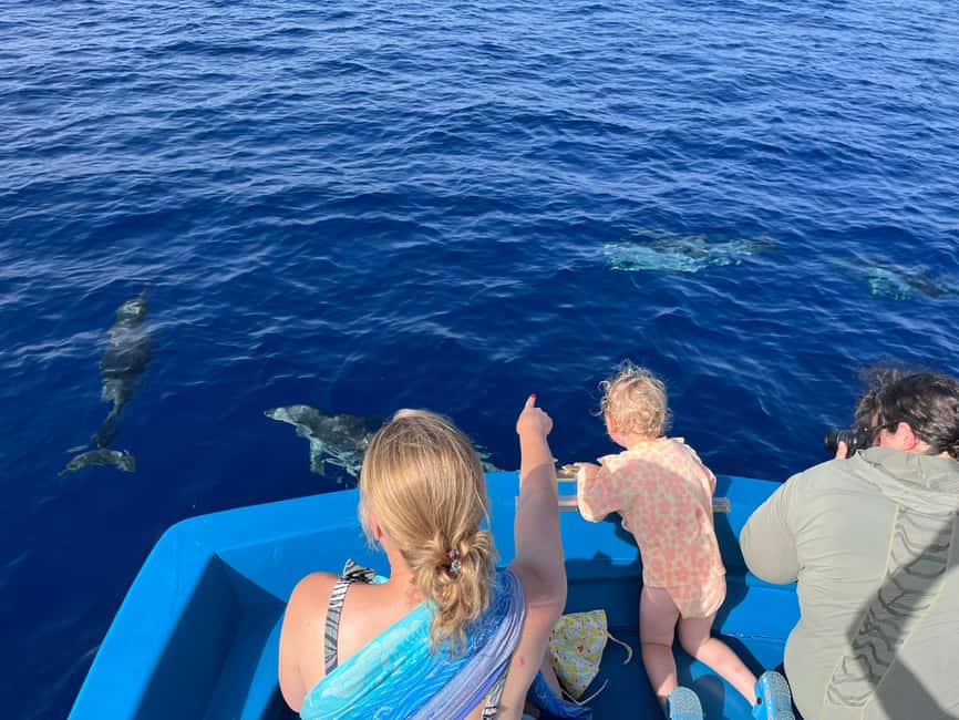 Pizzo: Fishing, Snorkeling, Dolphin Watching - My Recommendation for Pizzo’s Sea Trip