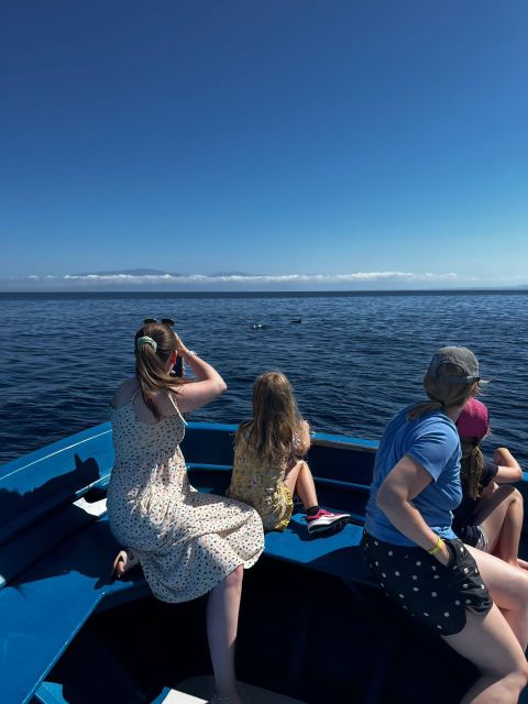 Pizzo: Fishing, Snorkeling, Dolphin Watching - Trying Trolling for Tuna or Swordfish