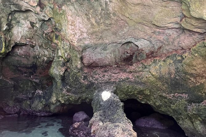 Polignano a Mare luxury boat tour, aperitif, diving and snorkeling - Swimming and Snorkeling in the Adriatic