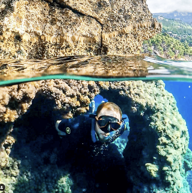 Port de Sóller: Snorkeling Tour with Professional Guide - What you may see below the surface
