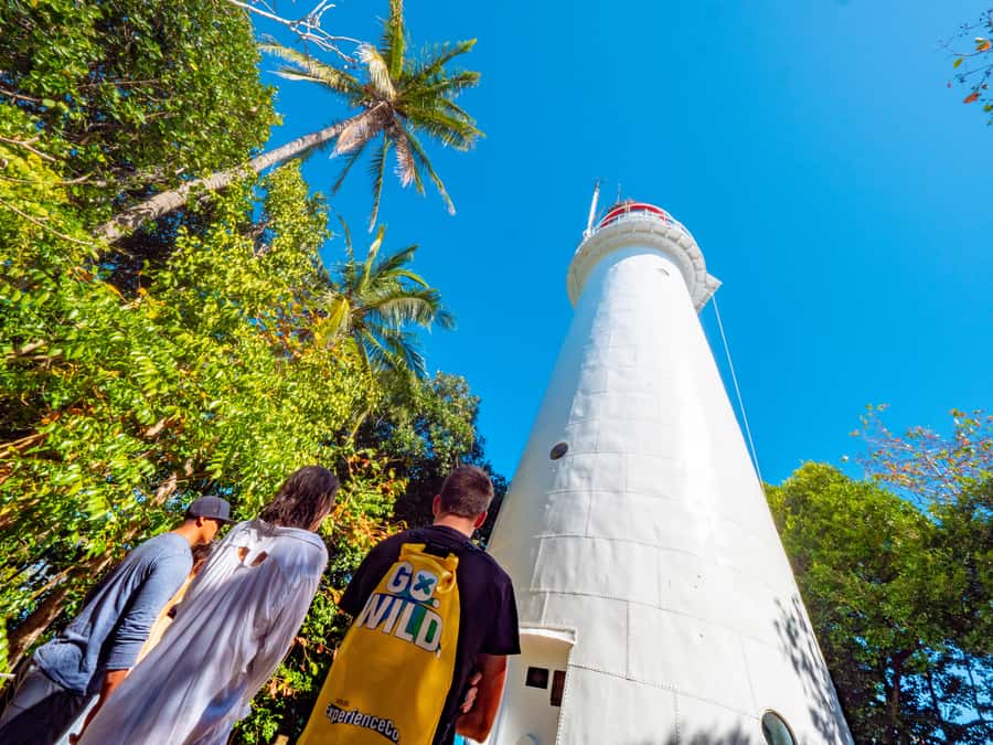 Port Douglas: Low Isles Glass Bottom Boat & Snorkeling Tour - Timing, group size, and practical value