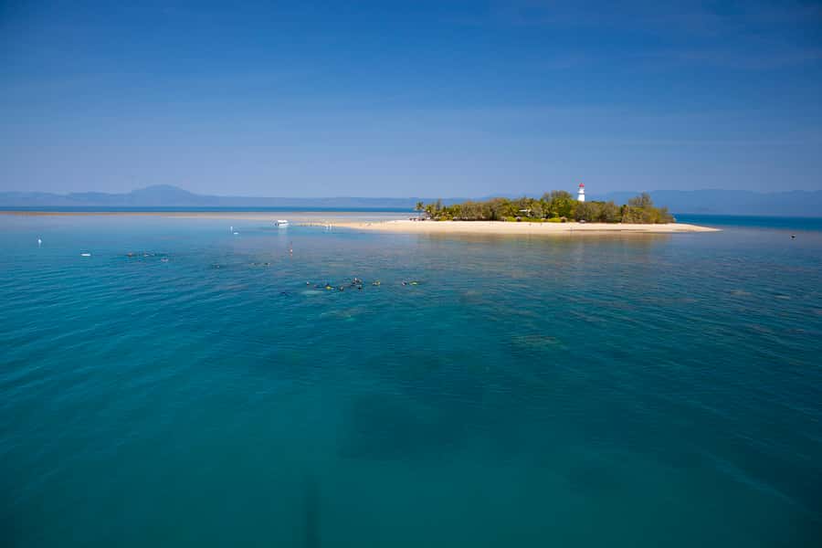 Port Douglas: Low Isles Glass Bottom Boat & Snorkeling Tour - Why Low Isles works well for a half-day reef trip