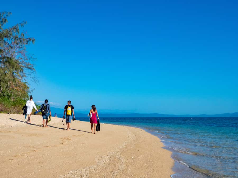 Port Douglas: Low Isles Glass Bottom Boat & Snorkeling Tour - Snorkeling in the Low Isles lagoon