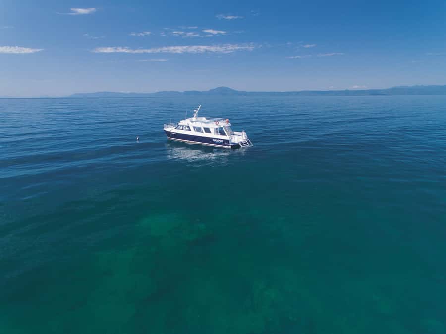 Port Douglas: Low Isles Glass Bottom Boat & Snorkeling Tour - Seeing the reef through the glass bottom boat