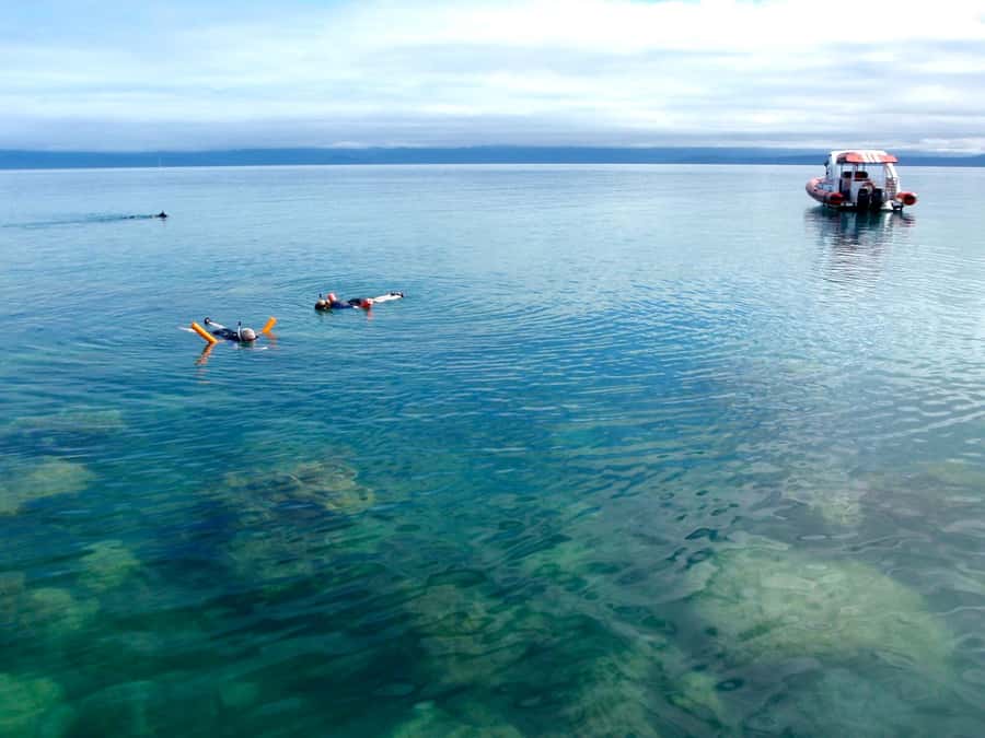 Port Douglas: Low Isles Reef Snorkeling Tour - What to bring and how to prepare