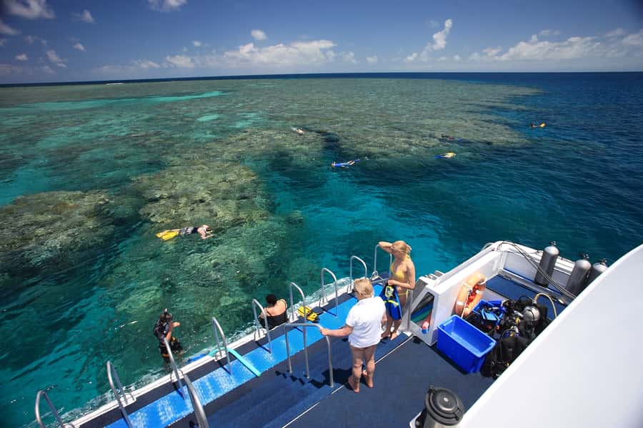 Port Douglas: Outer Barrier Reef Snorkel and Dive Options - Third stop: one more swim before the long ride home