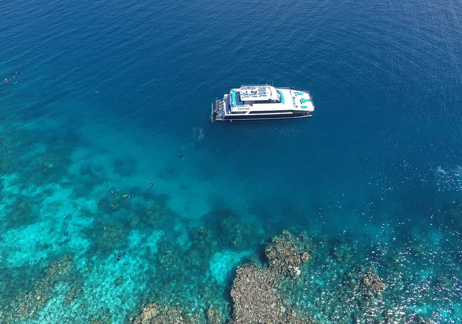 Port Douglas: Outer Barrier Reef Snorkel and Dive Options - How the snorkeling and scuba options compare