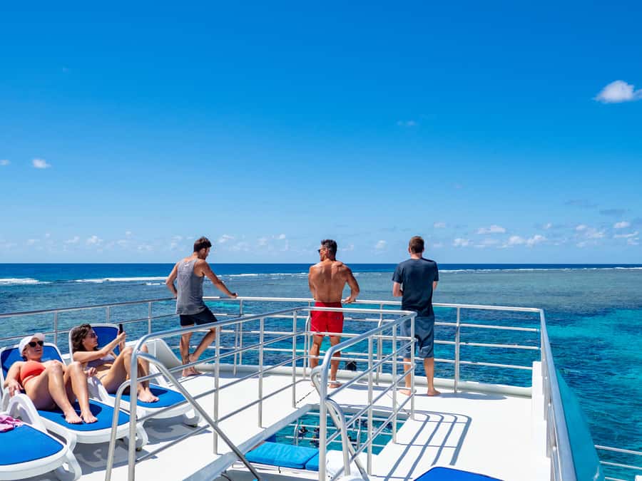 Port Douglas: Outer Barrier Reef Snorkel and Dive Options - The crew and the human side of the day