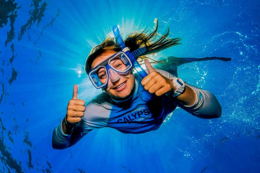Port Douglas: Outer Barrier Reef Snorkel and Dive Options - Is $174 a fair price?