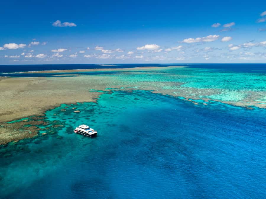 Port Douglas: Outer Barrier Reef Snorkel and Dive Options - Starting at Crystalbrook Marina in Port Douglas