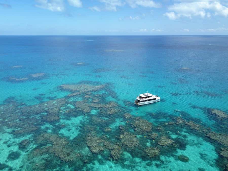 Port Douglas: Outer Great Barrier Reef Snorkeling Cruise - Three reef sites from one Port Douglas boat