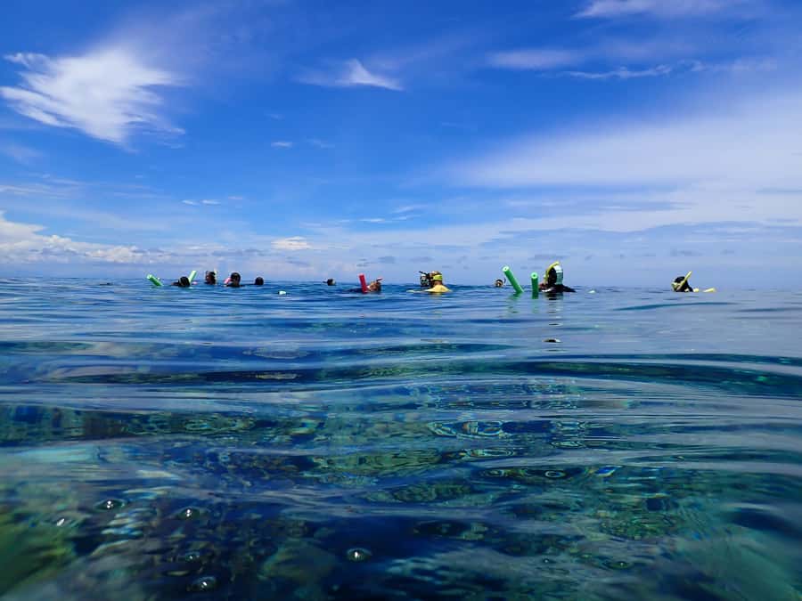 Port Douglas: Outer Great Barrier Reef Snorkeling Cruise - Who should book this cruise?