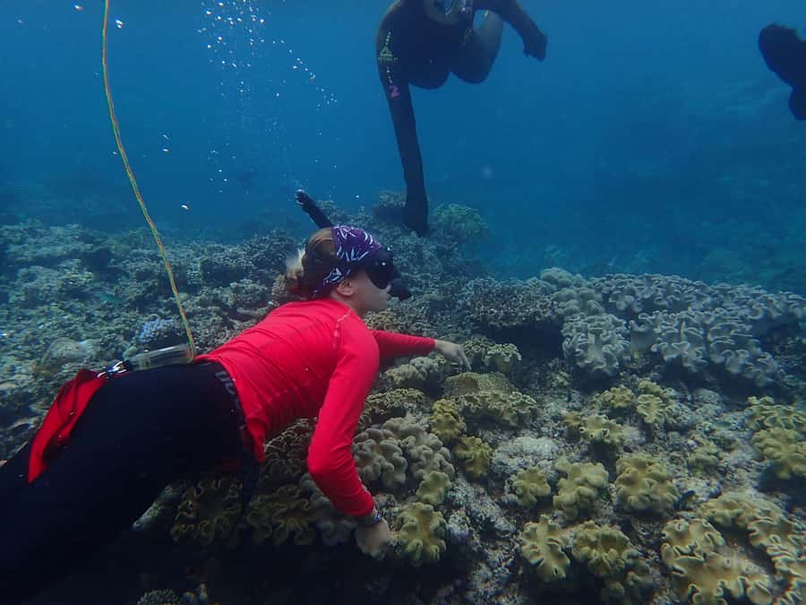 Port Douglas: Outer Great Barrier Reef Snorkeling Cruise - The 90-minute ride to the Outer Reef
