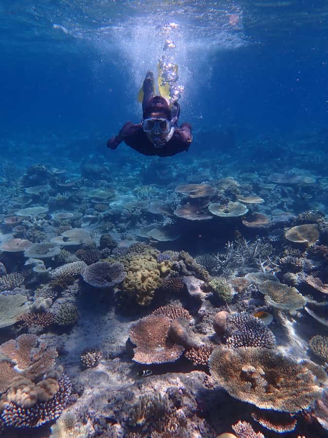 Port Douglas: Outer Great Barrier Reef Snorkeling Cruise - Lunch with a useful reef talk