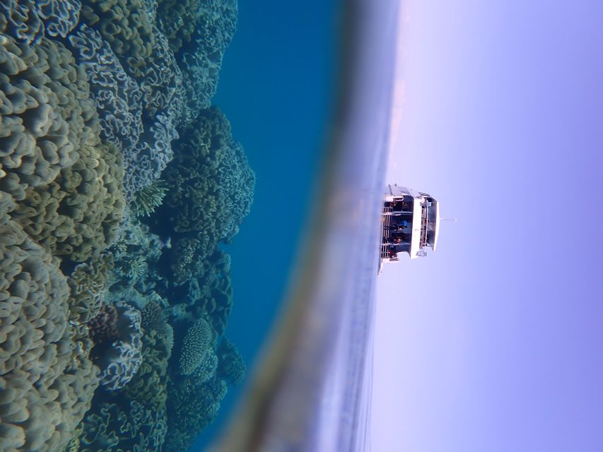 Port Douglas: Outer Great Barrier Reef Snorkeling Cruise - Boat comfort, group size, and the pace of the day