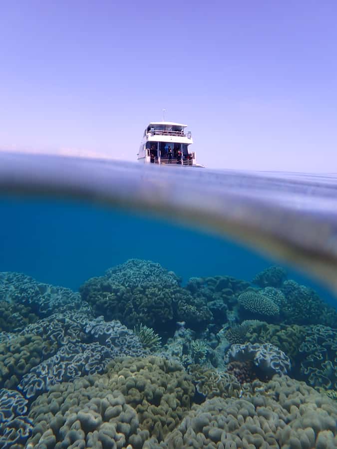 Port Douglas: Outer Great Barrier Reef Snorkeling Cruise - Is $210 good value?