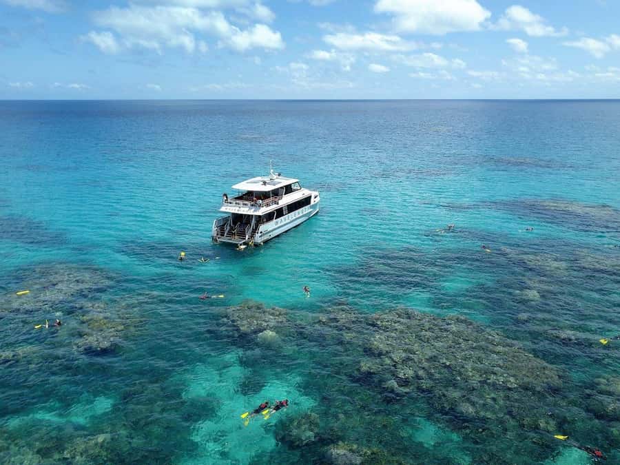 Port Douglas: Outer Great Barrier Reef Snorkeling Cruise - First stop: getting comfortable in the water