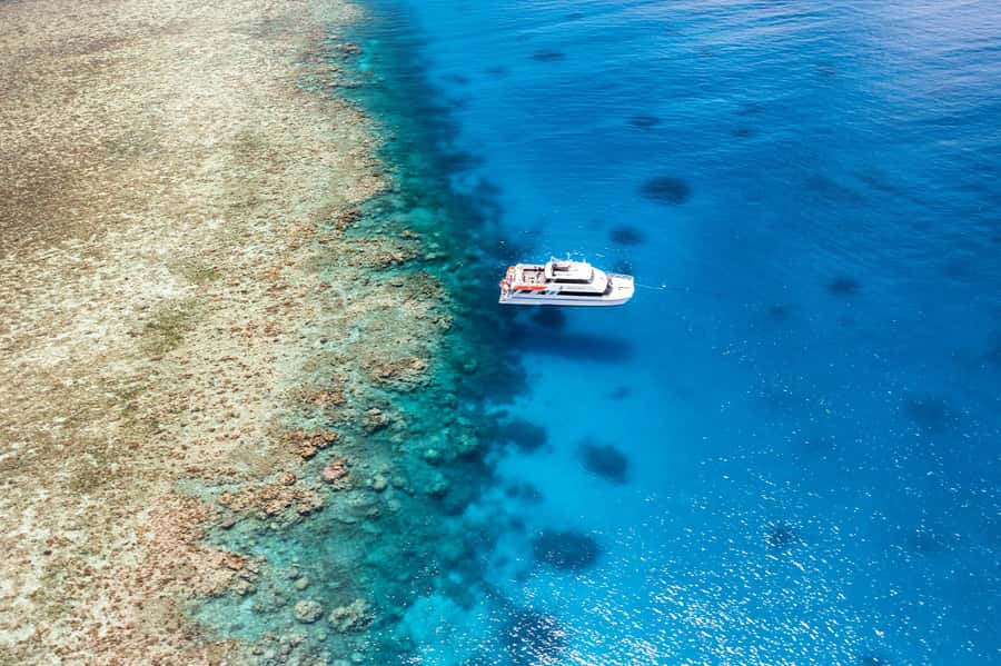 Port Douglas: Poseidon Outer Barrier Reef Dive and Snorkel - Key points at a glance