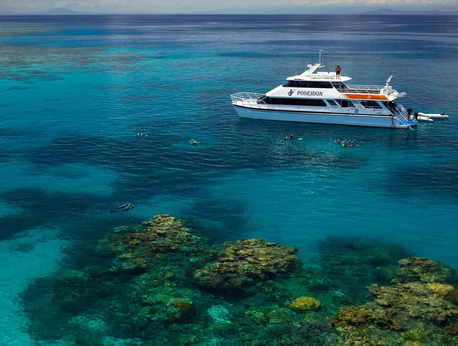 Port Douglas: Poseidon Outer Barrier Reef Dive and Snorkel - Snorkelling equipment and comfort in the water