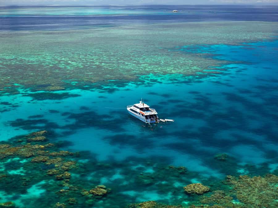 Port Douglas: Poseidon Outer Barrier Reef Dive and Snorkel - Is $213 a fair price?