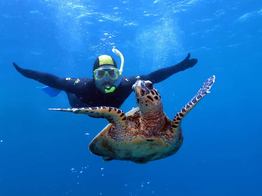 Port Douglas: Poseidon Outer Barrier Reef Dive and Snorkel - A 24-metre boat with a smaller feel