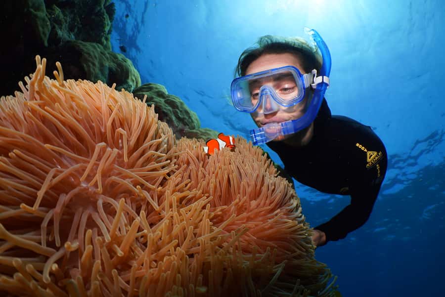 Port Douglas: Silversonic Great Barrier Reef Dive & Snorkel - Why the three reef sites matter