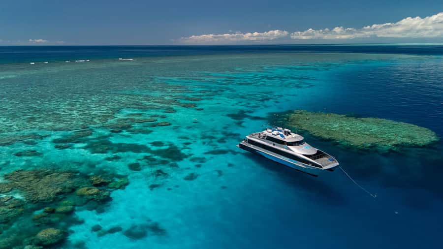 Port Douglas: Silversonic Great Barrier Reef Dive & Snorkel - Five hours of reef time, not a quick look