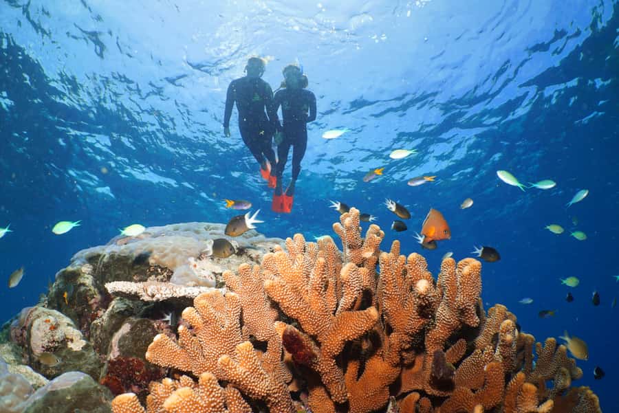 Port Douglas: Silversonic Great Barrier Reef Dive & Snorkel - The morning ride from Port Douglas