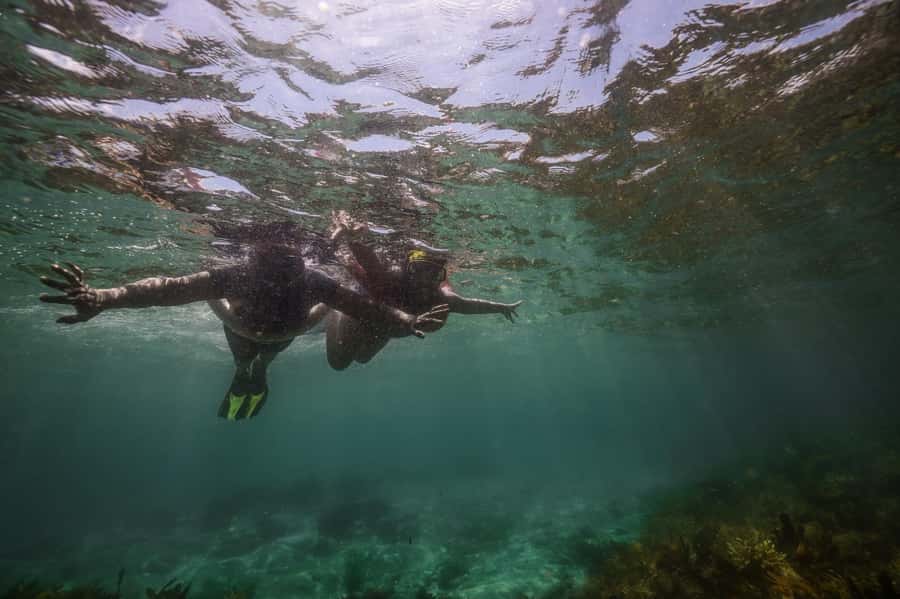 Port Stephens: Port Stephens Island Snorkel Adventure Cruise - What the water time is really like