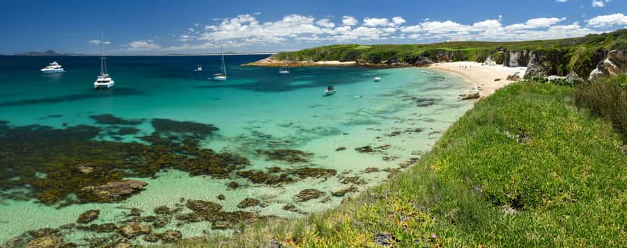 Port Stephens: Port Stephens Island Snorkel Adventure Cruise - Practical tips for a smoother morning