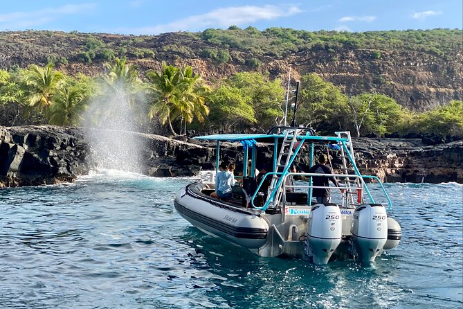 Premium Kona Coast Morning Snorkel - Lunch, snacks, and equipment