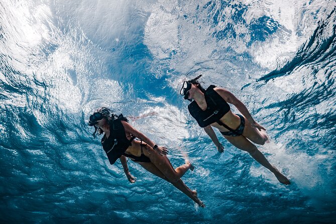 Premium Morning Snorkel Sail with Champagne Brunch - Breakfast, sea breezes, and the first mimosa