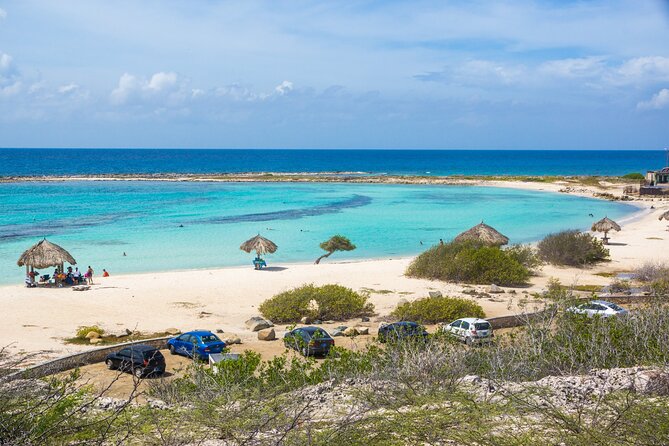 Private Aruba Beach Hop and Snorkel Experience - Mangel Halto: the best opening snorkel