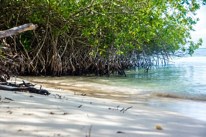 Private Aruba Beach Hop and Snorkel Experience - Tres Trapi offers rocky access and turtle watching