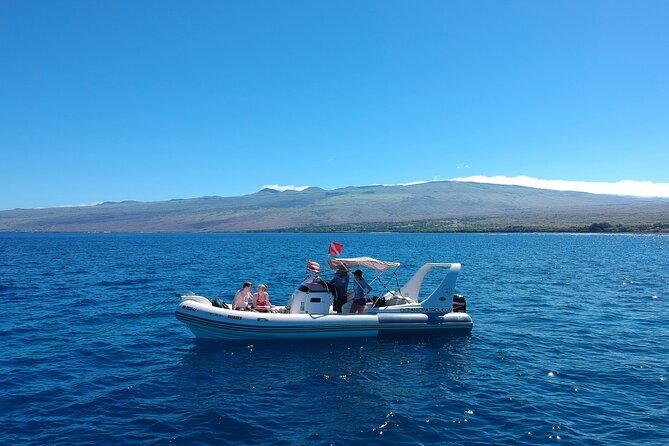 Private Big Island Snorkeling - Key points to know before booking